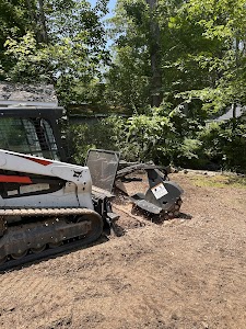 Fall Road Tree Works place picture