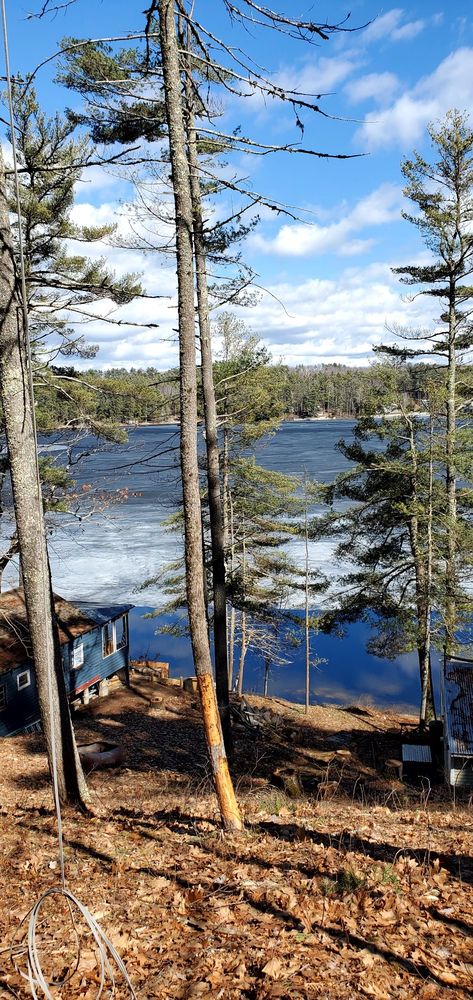 completed tree work with open view of beautiful lake landscaping-16b